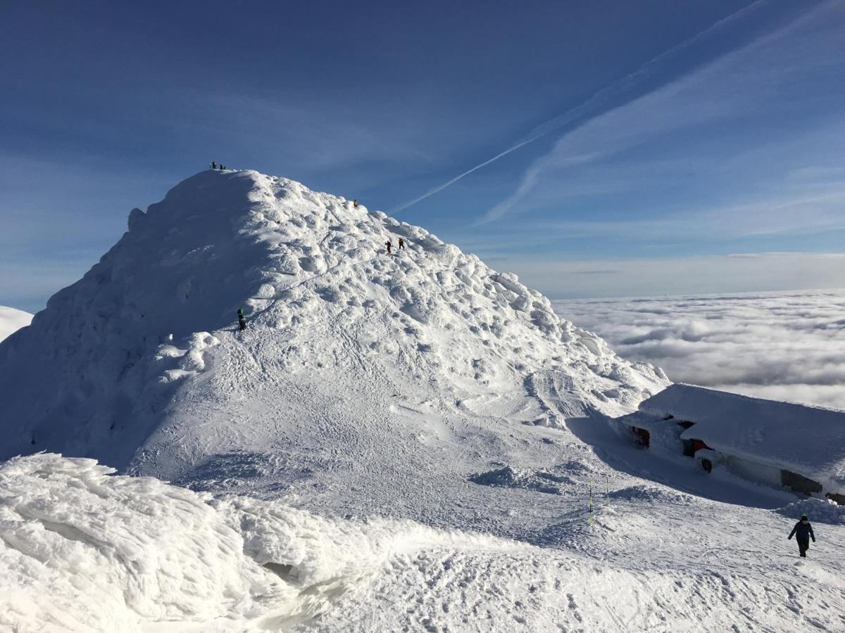 Chata pri jaskyni Bystrá Exterior foto